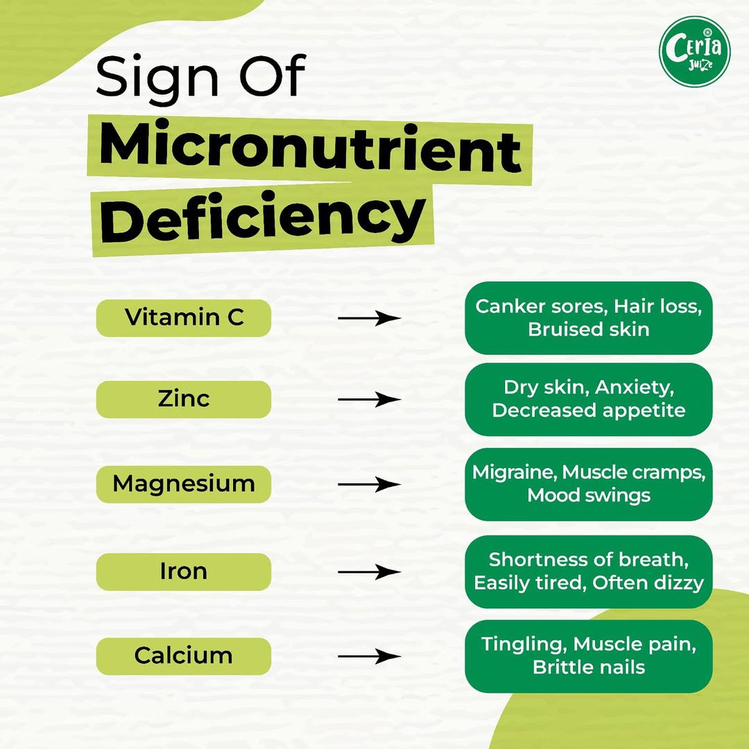 https://ceria-juize.com/upload/2025/08/Discover-the-importance-of-micronutrients.jpg