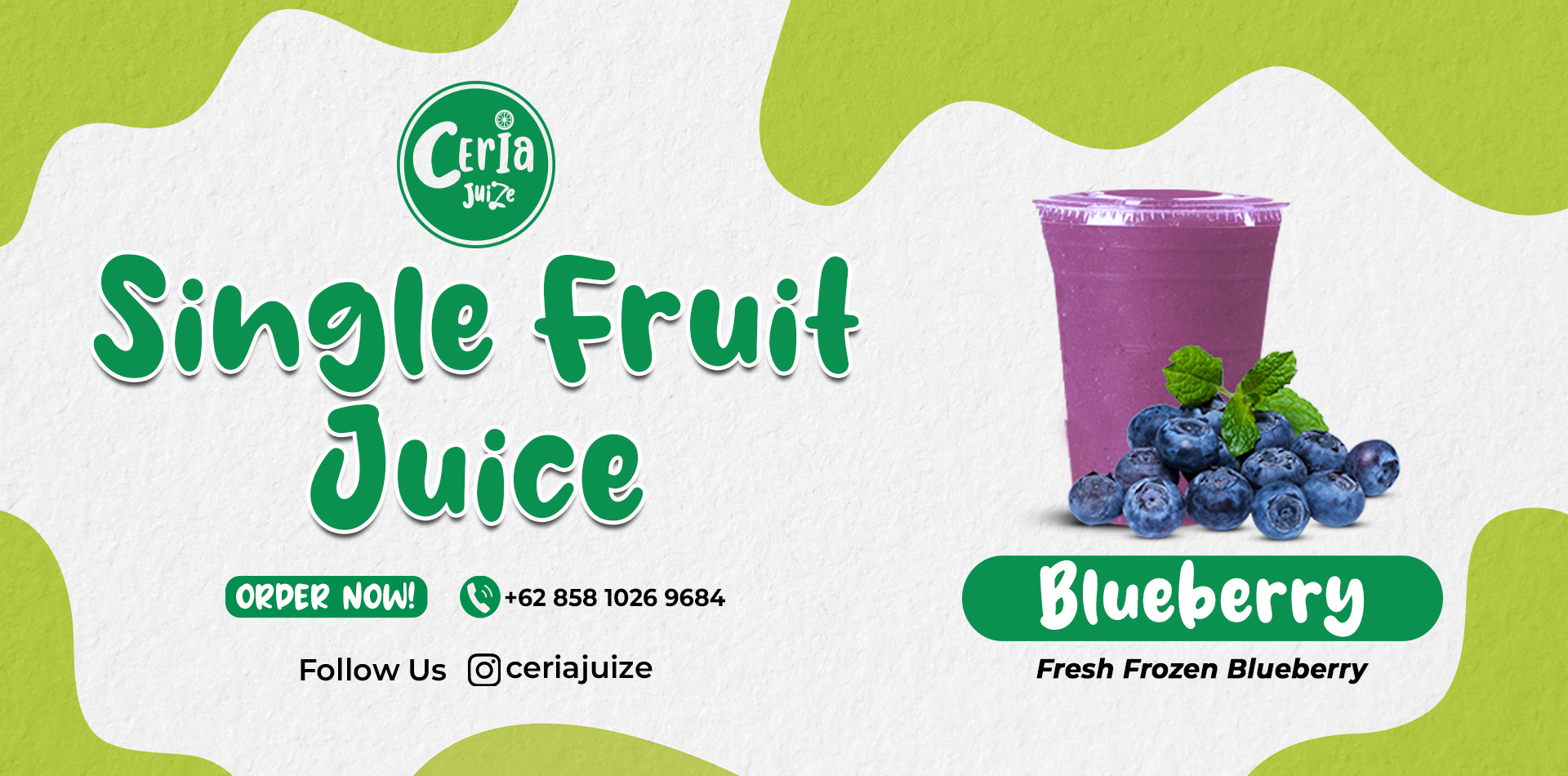 Single Fruit Blueberry copy