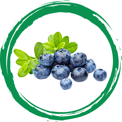 https://ceria-juize.com/upload/2026/04/Blueberries-400.png